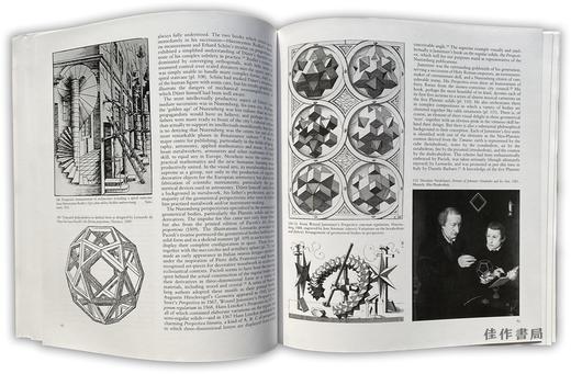 艺术的科学/The Science of Art: Optical Themes in Western Art from Brunelleschi to Seurat　 商品图2
