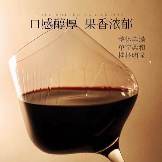 意大利进口丁托列托1518红葡萄酒 整箱750ml*3瓶包邮 商品图5