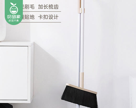 【预售-12月29日配送】茶花倍洁畚斗扫把簸箕套装（颜色随机）/1套（扫把*1把+簸箕*1个） 商品图1