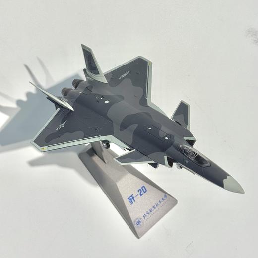 歼20 1：100模型 商品图0