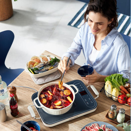 摩飞电磁炉MR8900 商品图2