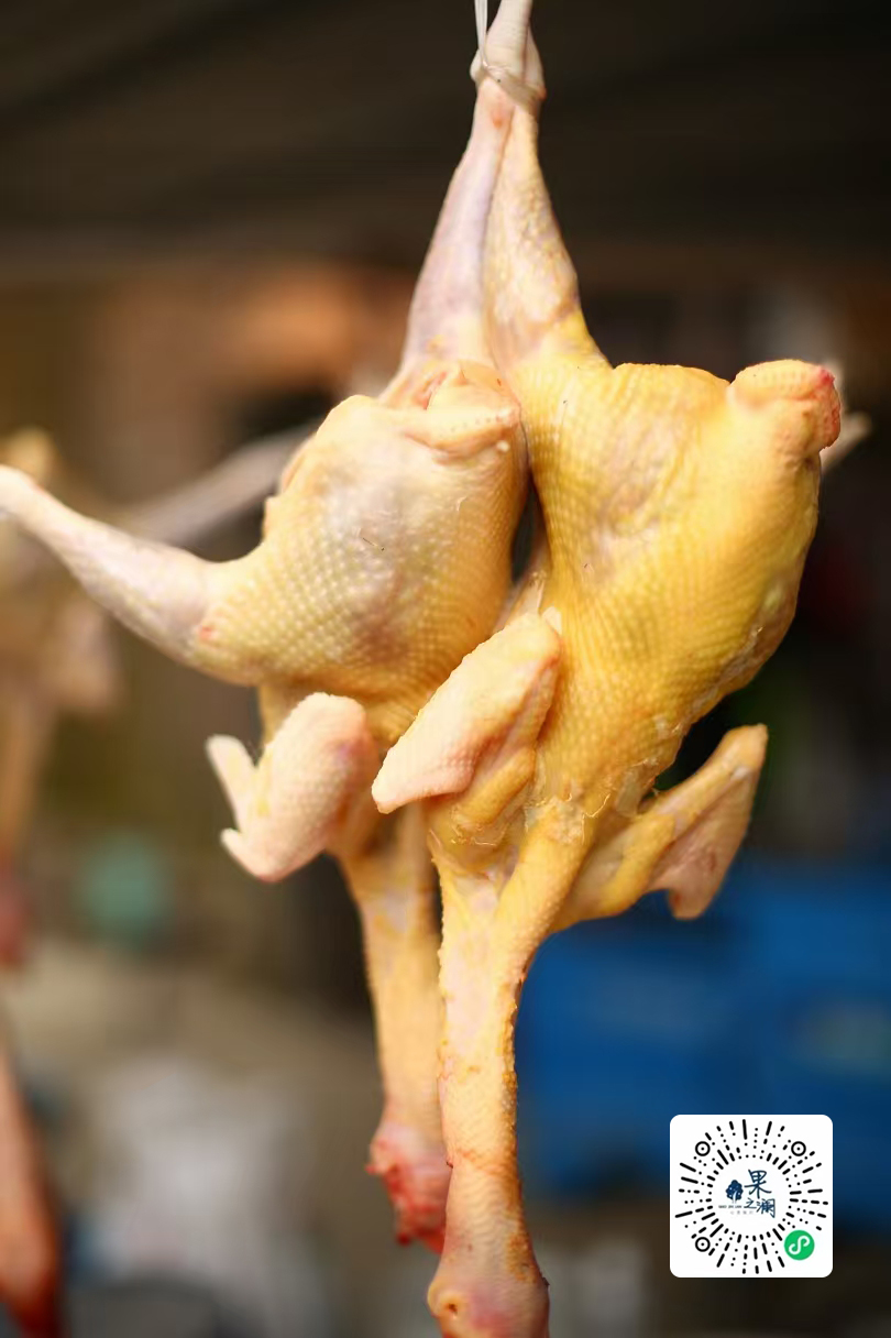 【开化农场的母鸡/公鸡/生姜干】果之澜开化农场自养自种的土鸡，无饲料、无激素抗生素，吃玉米、甜瓜、米糠等纯粮喂养，自然生长！江浙沪顺丰包邮~