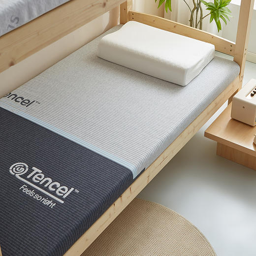 【学生宿舍专用床垫】记忆棉床垫柔软回弹不易塌陷单人上下铺床垫 商品图1