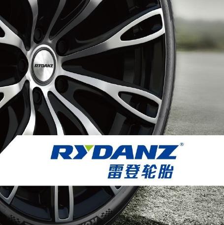 雷登轮胎 商品图0