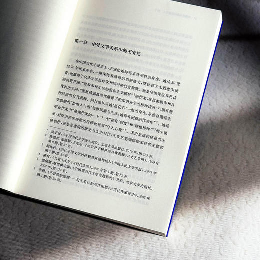 王安忆小说在法国 李澜雪 系统研究王安忆作品在法国译介传播 商品图9