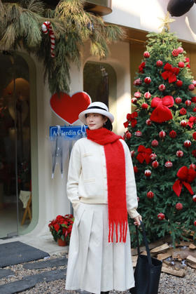 闪照第5期 冬日的白