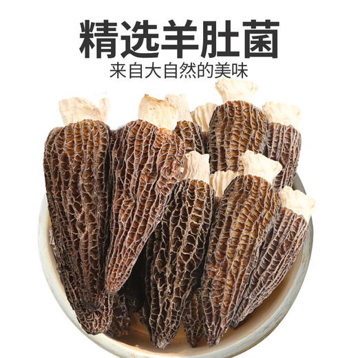 在菌屋 名贵礼品-云南羊肚菌250g 健康好礼 企业团购  中秋礼盒 商品图5