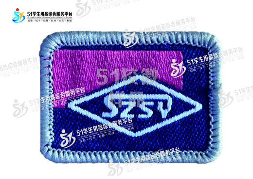 通版深圳实验学校织唛校徽礼服布标姓名字贴章可缝可烫现货现发51 商品图8
