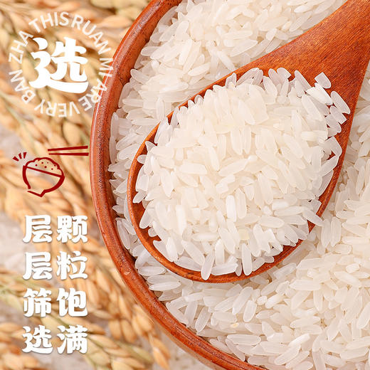 云南哈尼坝达大米5kg装云南高原产好米，好煮易熟，入口香甜 商品图5