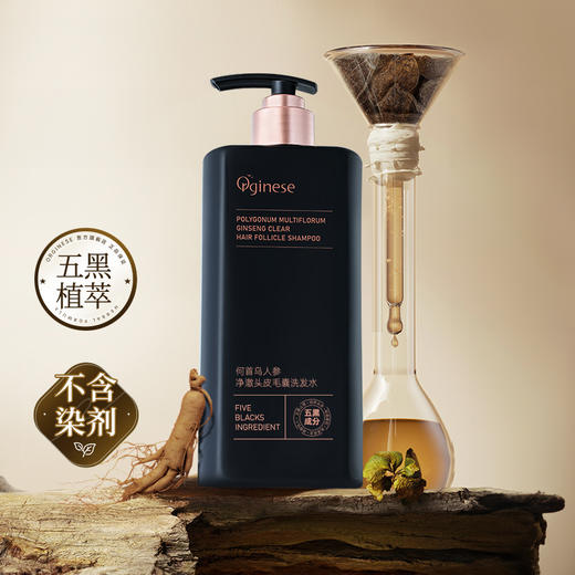热卖！五黑植萃 滋养头皮 欧橘Orginese 何首乌人参净澈头皮毛囊洗发水 500ml/瓶 商品图1