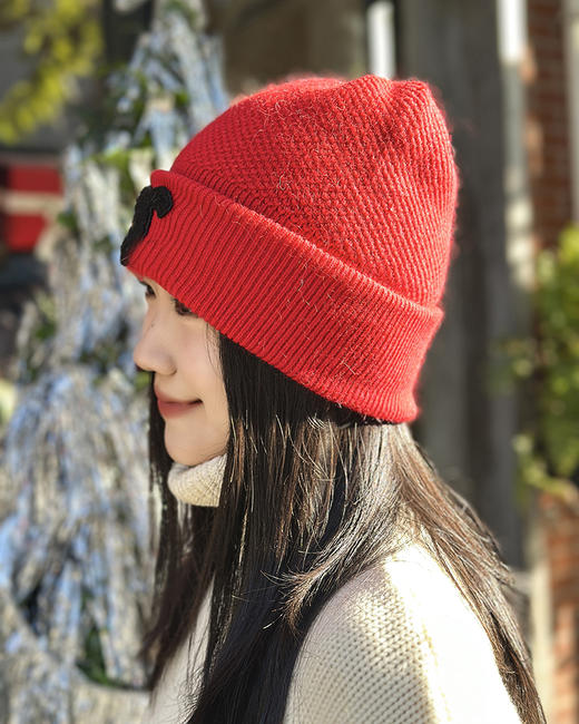 现货 THS 12.30-无 香家 情侣款 羊毛混纺针织冷帽 5色 CN196 商品图1