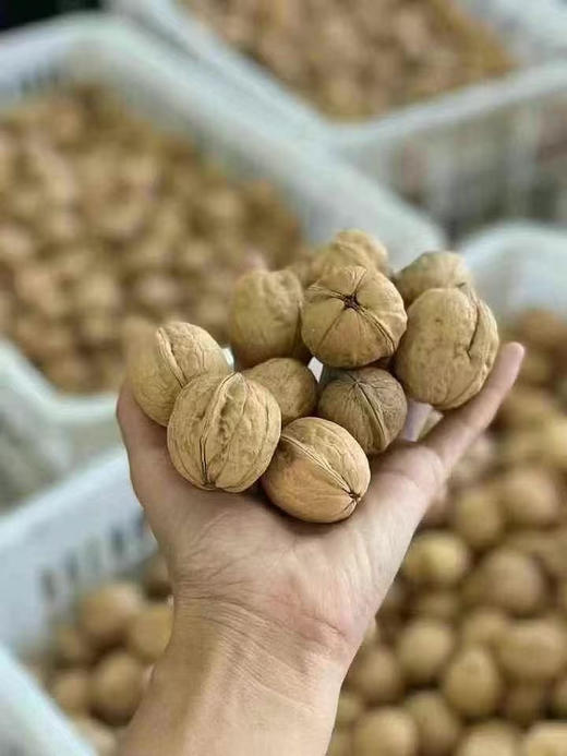 阿克苏纸皮核桃2斤礼盒装 商品图2