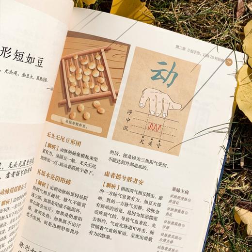 自学脉诊：图解《濒湖脉学》 商品图4