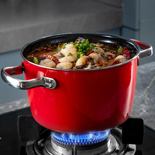 神田钛彩米微压炖锅22cm(赠硅胶铲) ，久烧不黑，质保30年！ 商品图3