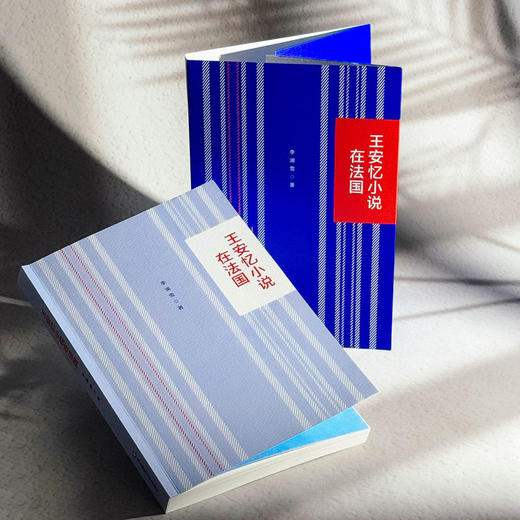 王安忆小说在法国 李澜雪 系统研究王安忆作品在法国译介传播 商品图6