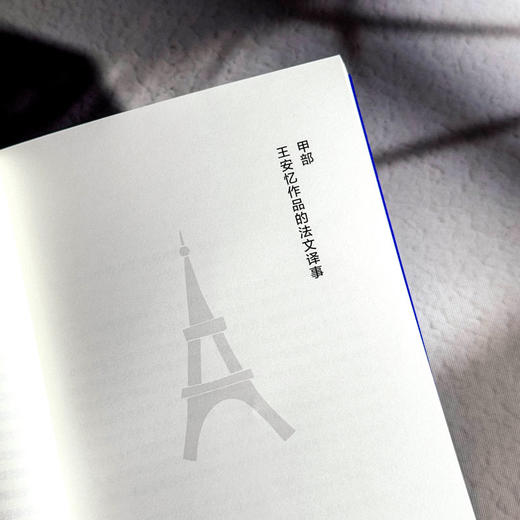 王安忆小说在法国 李澜雪 系统研究王安忆作品在法国译介传播 商品图8