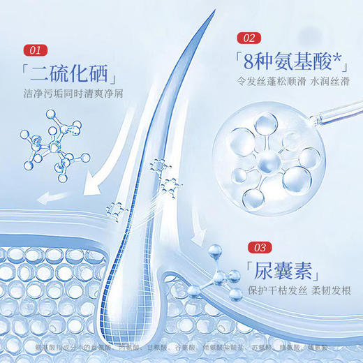 【轻松拥有飘逸秀发】韩伦美羽二硫化硒去屑洗发露清爽控油专研净屑抚平毛躁持久留香300ml/瓶 商品图3