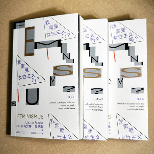 我需要女性主义吗？ 商品图4