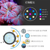 钜彩keloray AN15S-30S海水全光谱LED珊瑚灯 商品缩略图2