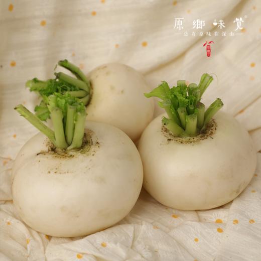 生态萝卜（农场直发-顺丰包邮）| 长萝卜+圆萝卜+紫皮萝卜+红皮萝卜，四种混装，5斤/箱，成都郫都区基地【原乡农场，自产自销】 商品图9