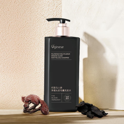 热卖！五黑植萃 滋养头皮 欧橘Orginese 何首乌人参净澈头皮毛囊洗发水 500ml/瓶 商品图2