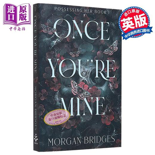 【中商原版】Possessing Her系列 第1部 一旦你属于我 英文原版 Once Youre Mine Morgan Bridges 爱情流行小说 商品图0