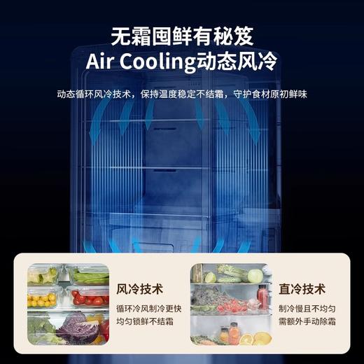 DAEWOO大宇复古单门风冷电冰箱家用冷藏冷冻小型冷柜冰吧无霜BD-95WDYA 商品图2