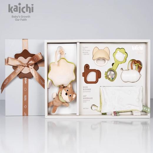新品kaichi凯驰新生婴儿手摇铃玩具可咬01岁宝宝益智幼儿安抚礼盒 商品图4