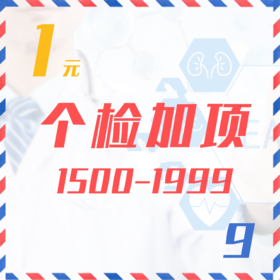 个检加项（1500-1999  9Z）