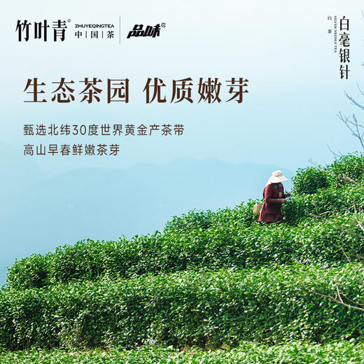 品味牌白毫银针一级双罐礼盒装茶叶80g送长辈自己喝 竹叶青茶业 商品图5