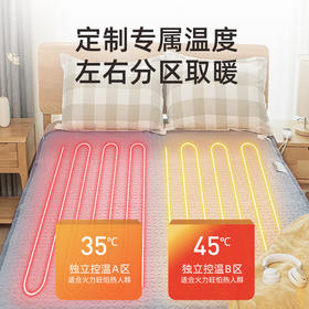 积分免费兑：志高（CHIGO）双人智能定时双温双控无纺布电热毯电褥子2m*1.8m【排潮除螨】