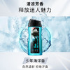 阿迪达斯（adidas）男士活力冰点沐浴露250ml持久留香控油清新舒爽富含海盐成分 商品缩略图0