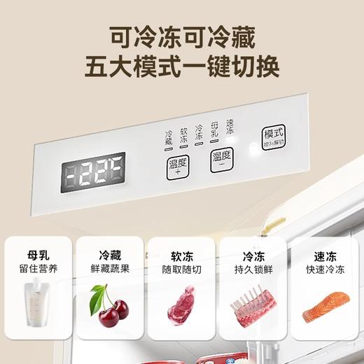 大宇立式冷柜家用抽屉全冷冻风冷无霜冷冻柜保鲜储存冷柜BD- 120WDYA 商品图3