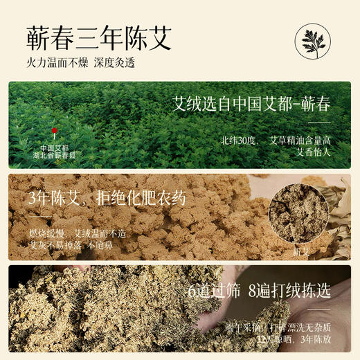 元气达人 艾上山野小蘑菇灸 商品图1