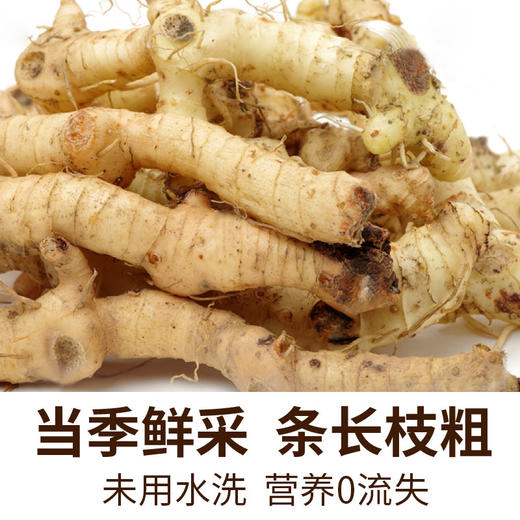 玉竹片&百合干 | 当季新货 精选兰州当地百合+云南玉竹 手工挑选 瓣型完整 无深加工 无熏硫无染色 保留食材原有的味道 干货 商品图6