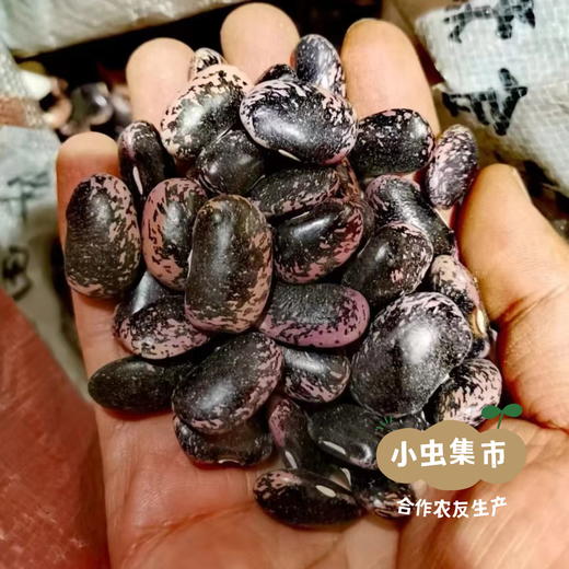 高原生态紫芸豆 500g/袋 | 合作农友生产，产自云南香格里拉，生产者：李忠青 ＆【公平贸易农人定价】 商品图9