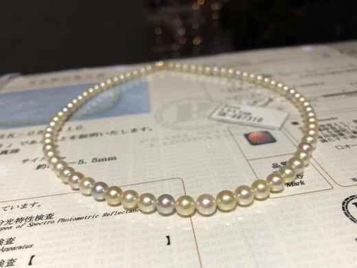 5mm-6mm akoya项链 商品图3
