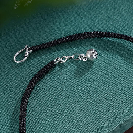 子佩集S925银【绽放之力】项链【TSN0002】纯银钱串原创2腰缠万贯盘缠盘缠2412 商品图5