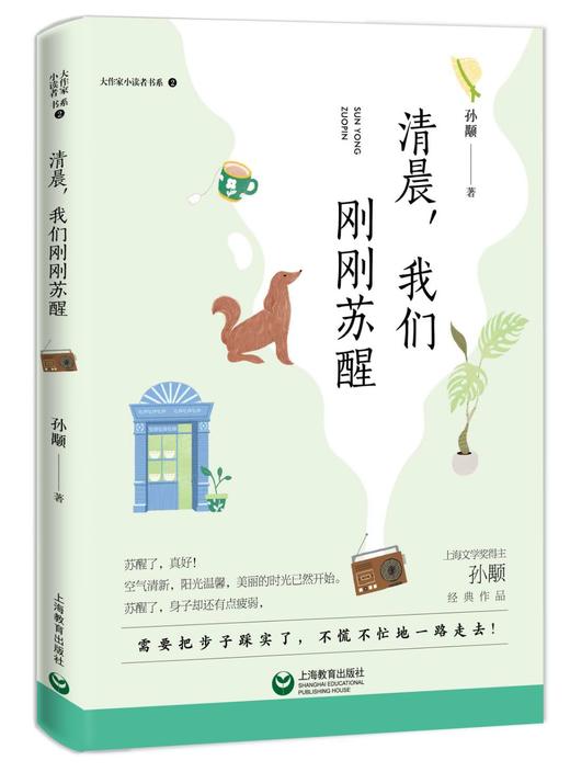 大作家小读者书系 清晨，我们刚刚苏醒 孙颙经典作品fb阅读书籍上海教育出版社 商品图1
