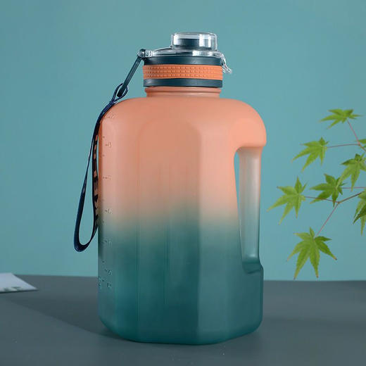 户外运动健身吨吨桶太空壶(磨砂系列)1.6L 礼品
 商品图1