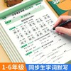 小学同步练字帖一年级二年级三年级下册看拼音写词语默写练字本小学语文数学同步写字帖人教版专用1-6年级课本生字词语填空造句练习儿童每日一练字帖 商品缩略图0