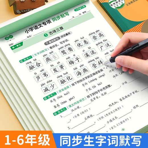 小学同步练字帖一年级二年级三年级下册看拼音写词语默写练字本小学语文数学同步写字帖人教版专用1-6年级课本生字词语填空造句练习儿童每日一练字帖 商品图0