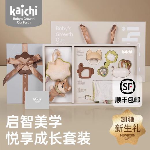 新品kaichi凯驰新生婴儿手摇铃玩具可咬01岁宝宝益智幼儿安抚礼盒 商品图3