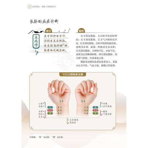 自学脉诊：图解《濒湖脉学》 商品图6