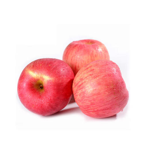 陕西富士75#【约650g—700g】 商品图0