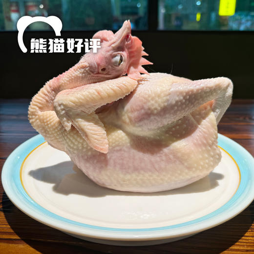 麻鸡村传统清远鸡｜原粮喂养 160日龄 皮爽肉滑 鲜甜甘香 商品图5