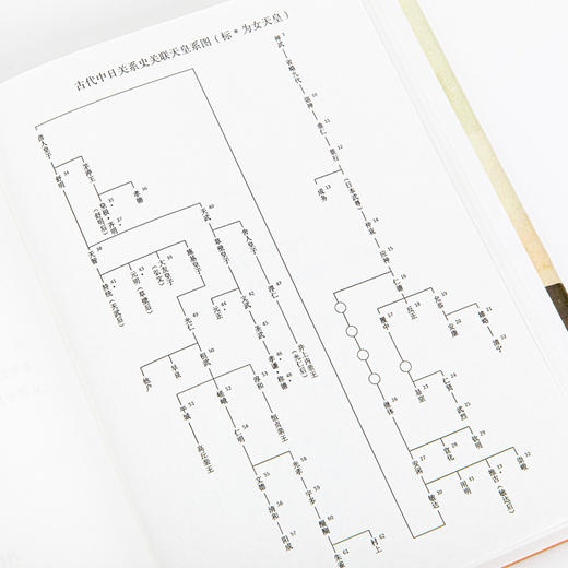 古代中日关系史：从倭五王到最后的遣唐使 著者：[日] 河上麻由子 商品图9