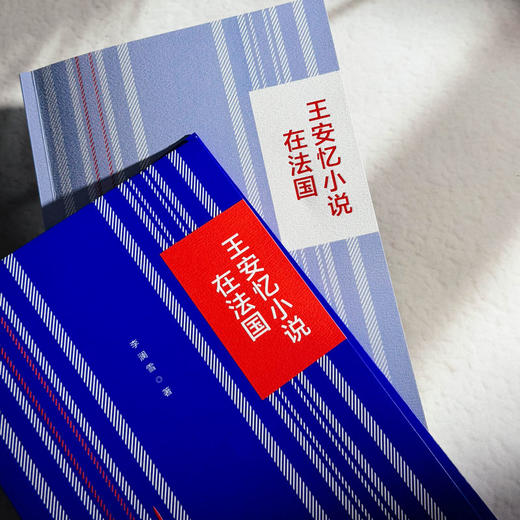 王安忆小说在法国 李澜雪 系统研究王安忆作品在法国译介传播 商品图4