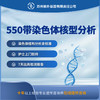 550带染色体核型分析 商品缩略图0
