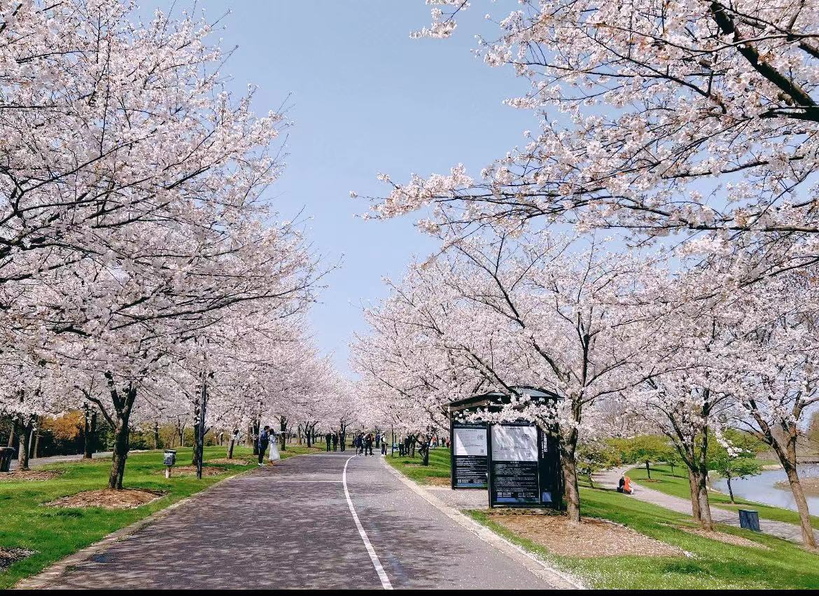 【深坑酒店】双12 「银发暖心」特惠套餐 豪华房石榴石主题住1晚+次日两大一小（六岁以下）源咖啡自助早餐+上海辰山植物园双人门票